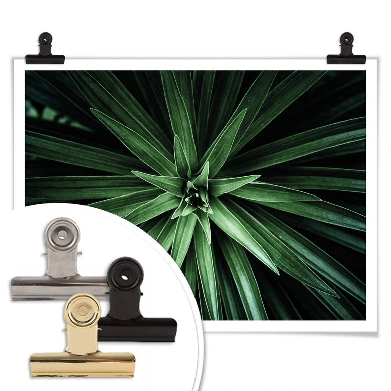 Poster Botanical 