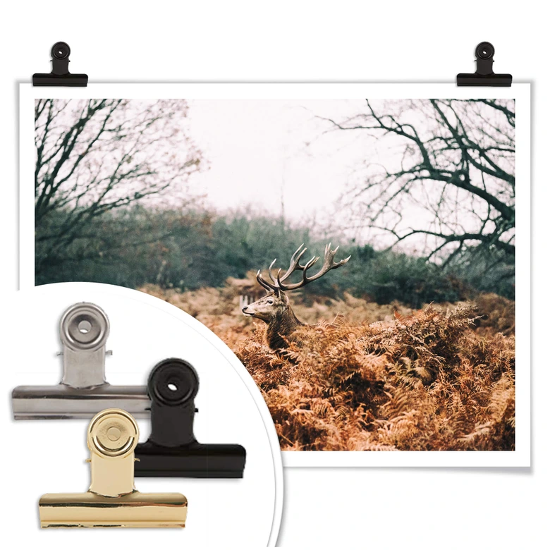 Poster Im Wald 