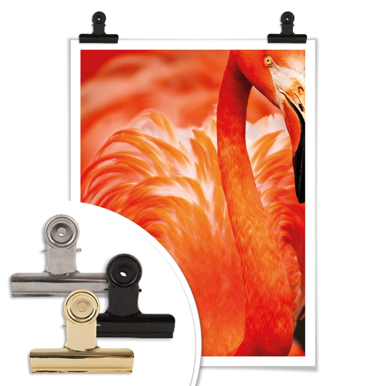 Póster del flamenco 