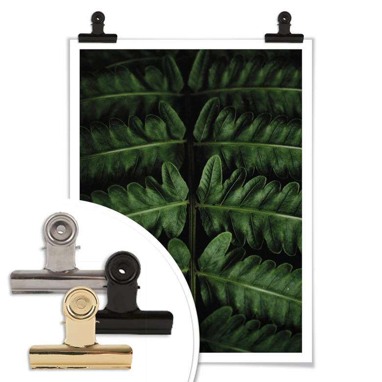 Poster Botanical 02  