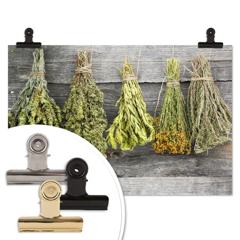 Poster - Herbes sèches 