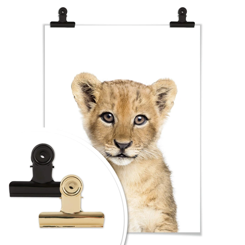 Plakat Sisi & Seb - Mały lew 