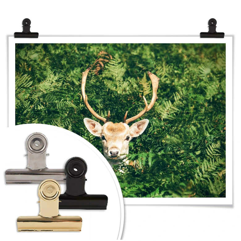 Poster Versteckspiel im Wald 