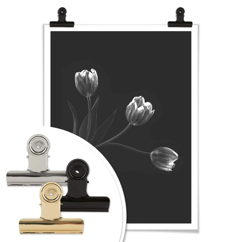 Poster Pan - Tulpentrio 