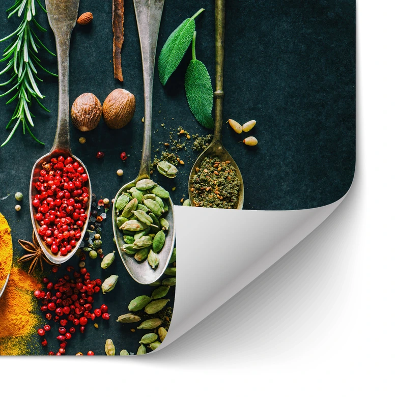 Salpicadero de cocina autoadhesivo Colorida variedad de especias 