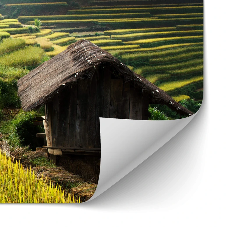 Selbstklebende Küchenrückwand Intarob - Reisfelder in Vietnam 