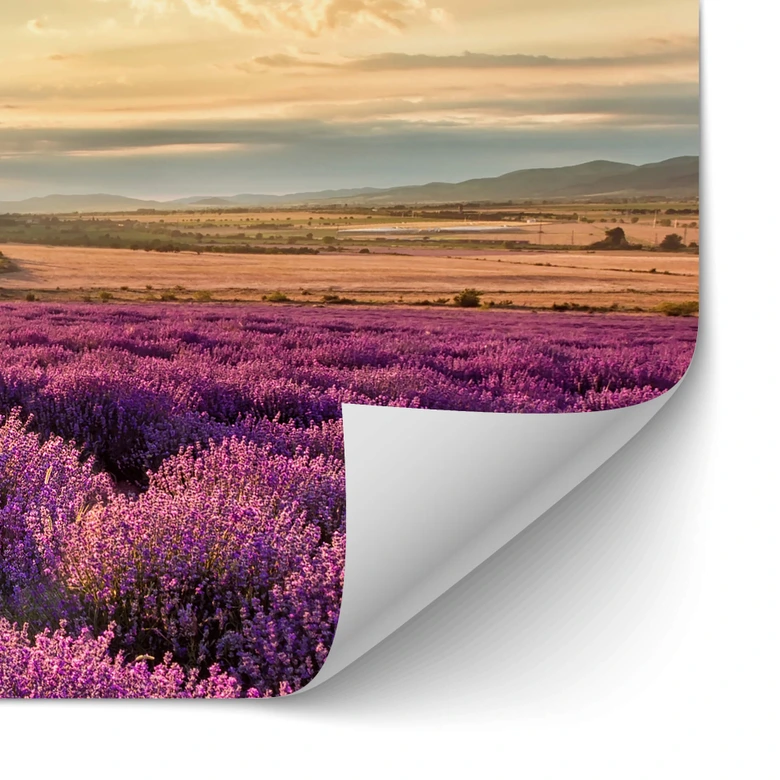 Zelfklevende Keukenachterwand Lavendel in de Provence 