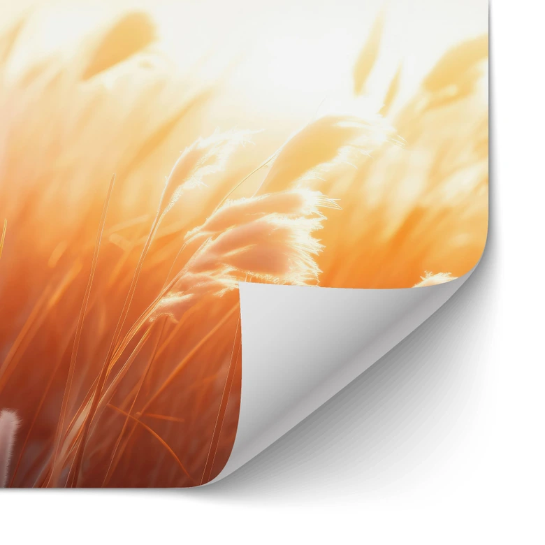 Self-adhesive kitchen splashback Dune grass in the evening sun - Treechild 