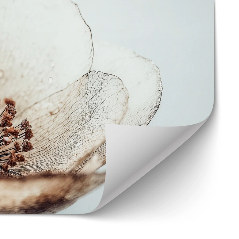 Selbstklebende Küchenrückwand Trockenblüte Beige Naturpoesie - Treechild 