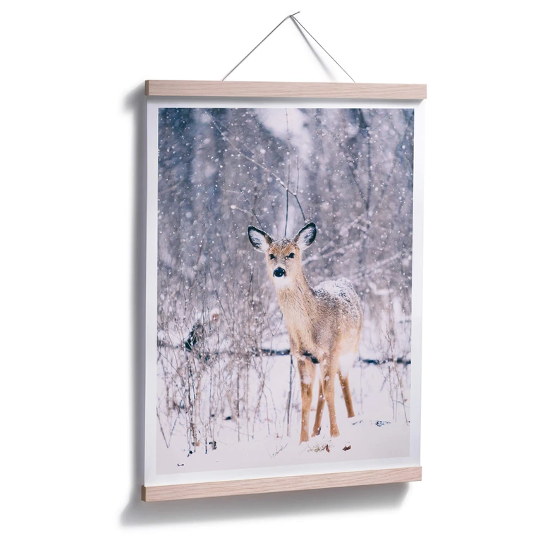 Plakat - Vinterhjort 