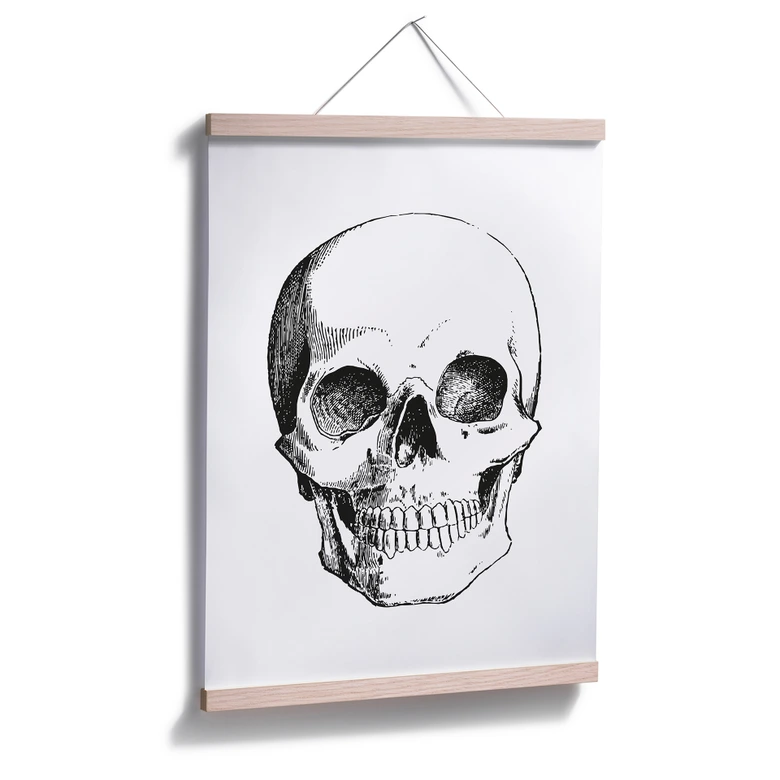 Plakat - Ludzka czaszka 