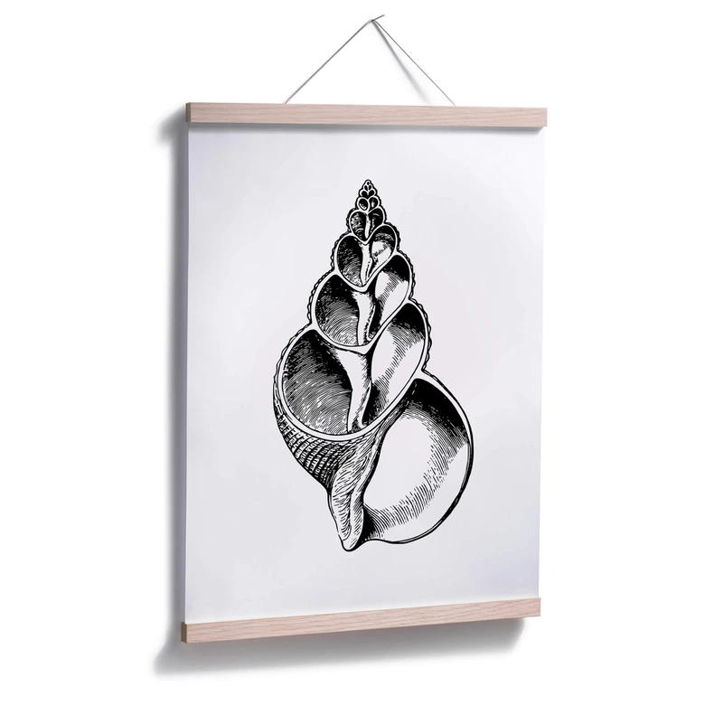 Poster Seashell 01 