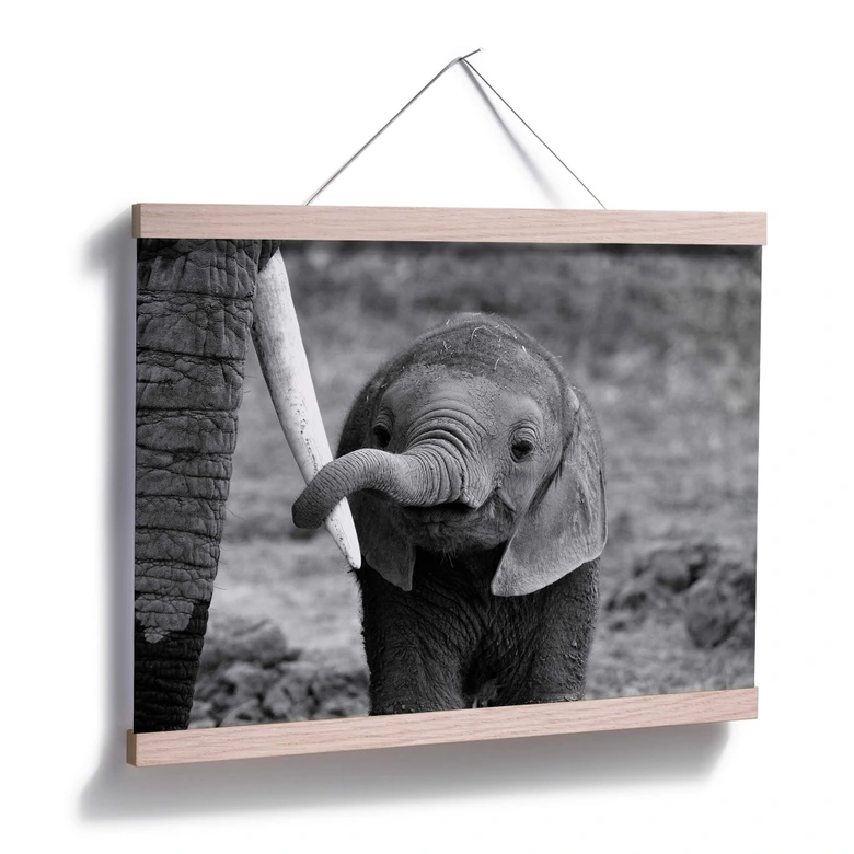 Poster Alicke - Close to Mum 