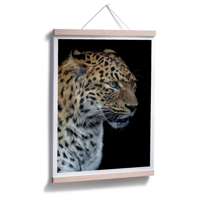 Poster Dambreville - Neugieriger Jaguar 