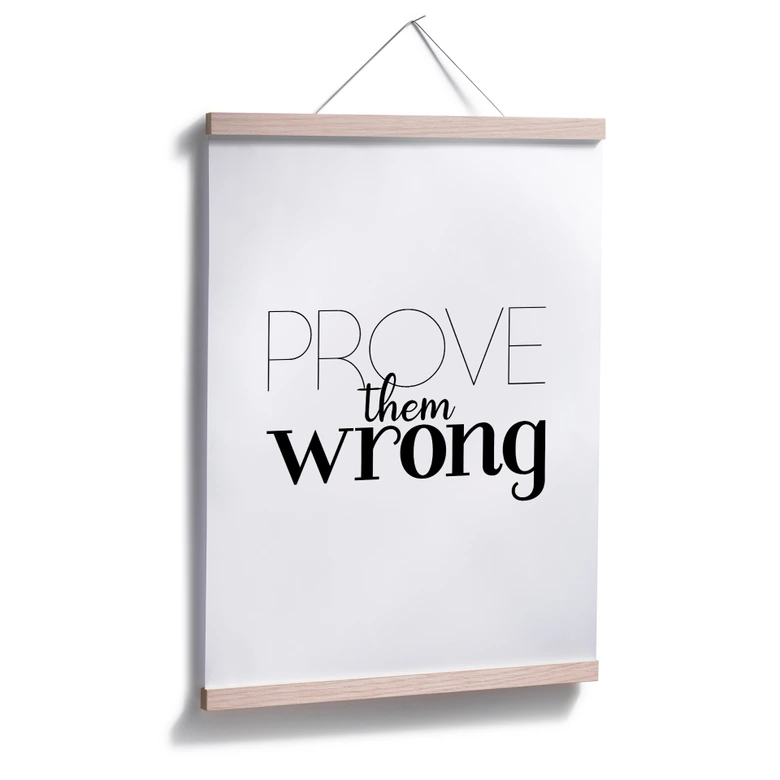 Poster Prove them wrong 