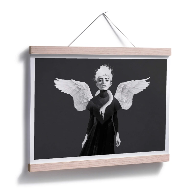 Plakat Irlandia - Bloom - Łabędź 