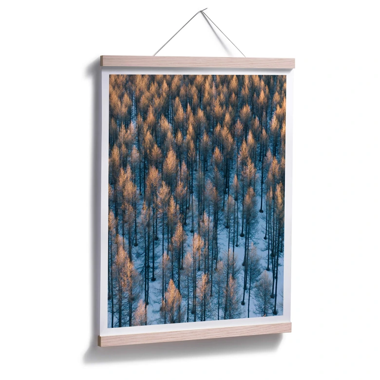 Poster Bingo - Sonnenaufgang im Wald 