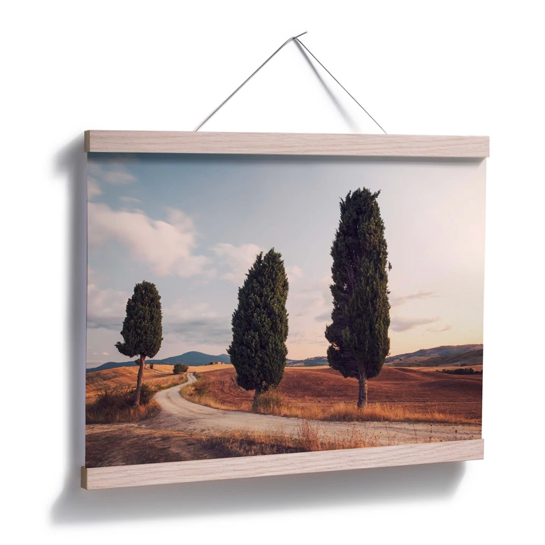 Plakat Colombo - Trzy cyprysy na drodze 