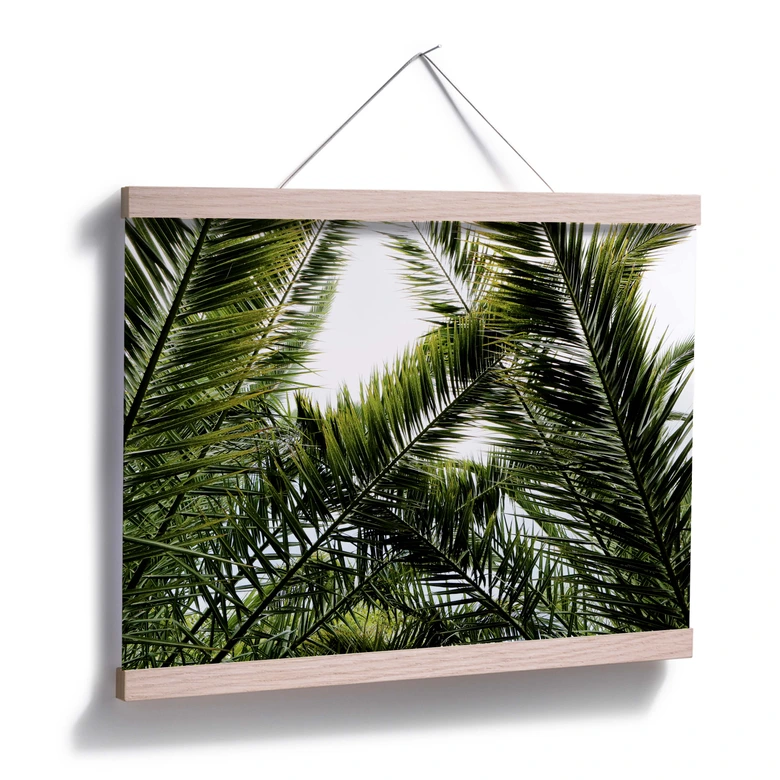 Poster Dattelpalme 