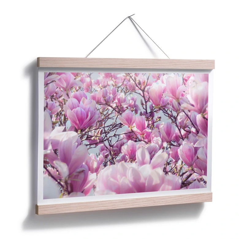 Poster Delgado - Magnolienbaum 