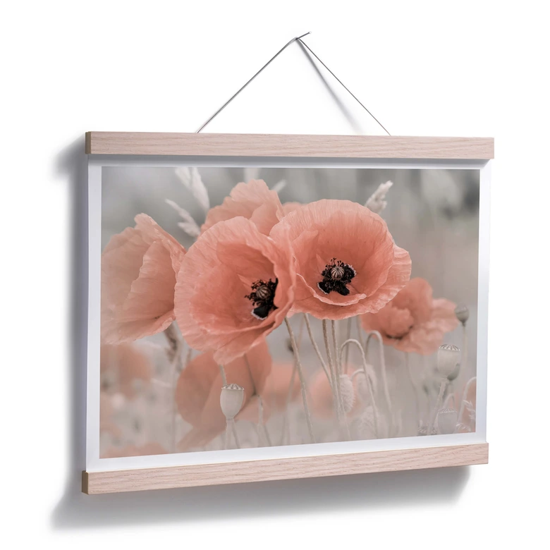 Poster Delgado - Mohn in Pastell 