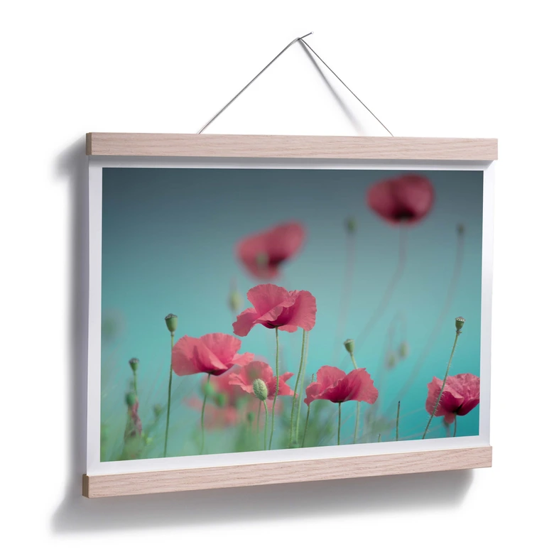 Poster Delgado – Mohnblumen Pastell 