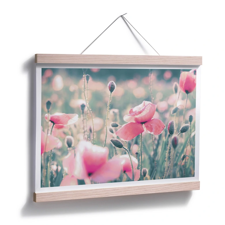 Póster Delgado - Momentos flor de amapola 