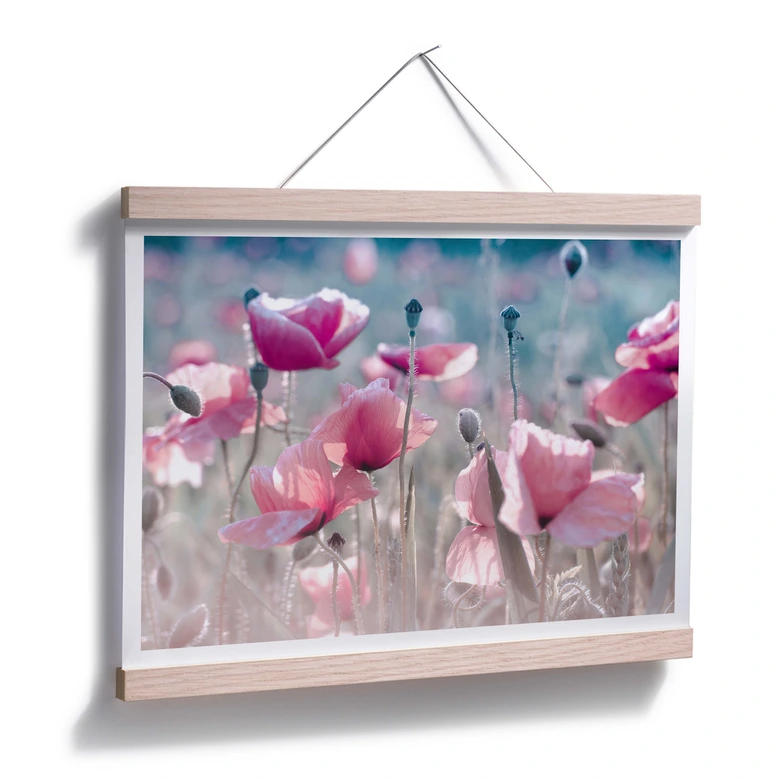Poster Delgado - Champ de coquelicots 