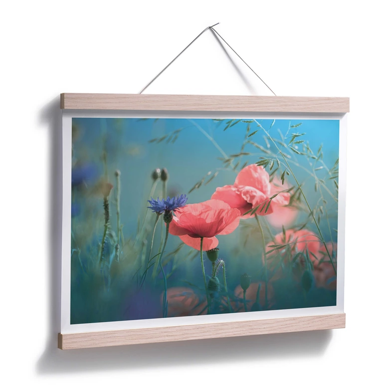 Poster Delgado - Wildblumen Aquamarin 