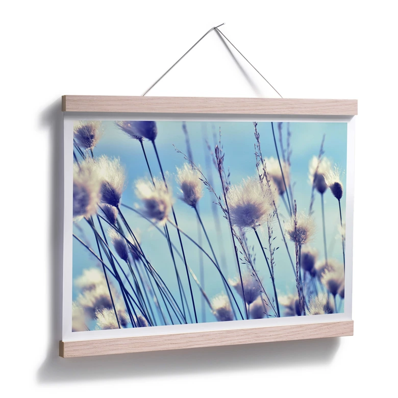 Poster Delgado - Vind i gräset 