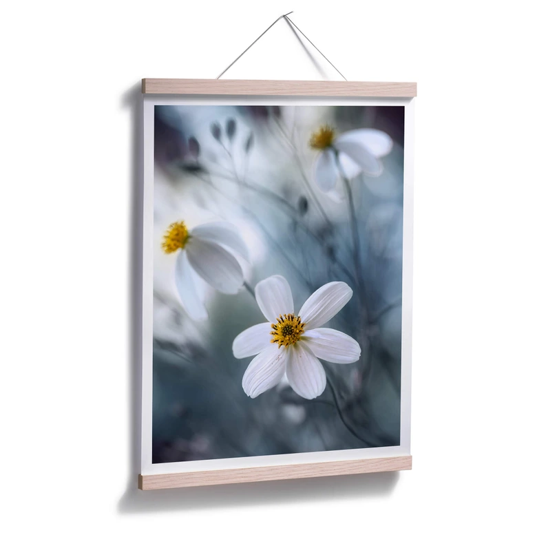 Poster Disher - Die weiße Blüte 