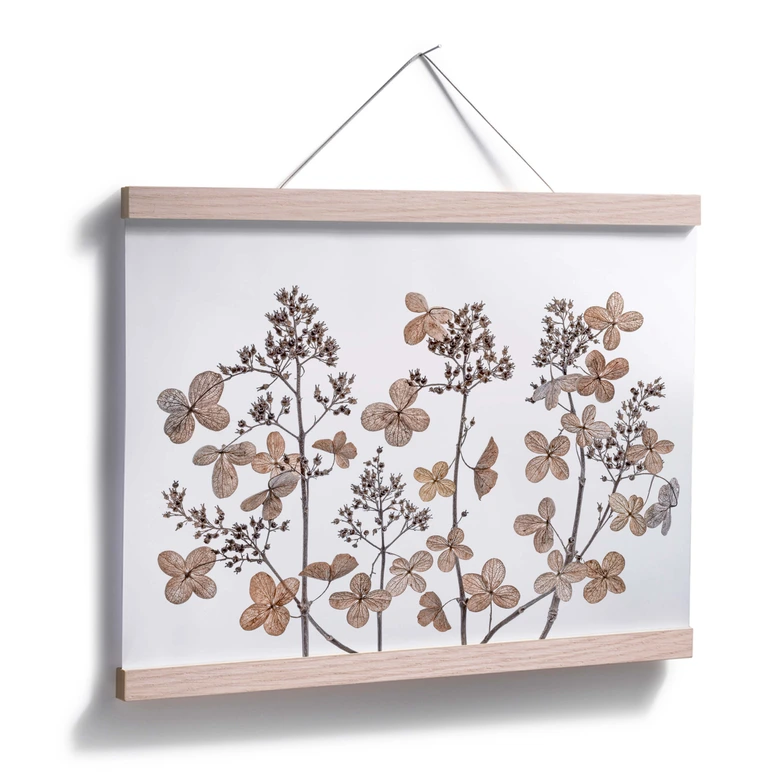 Poster Disher - Flores secas 