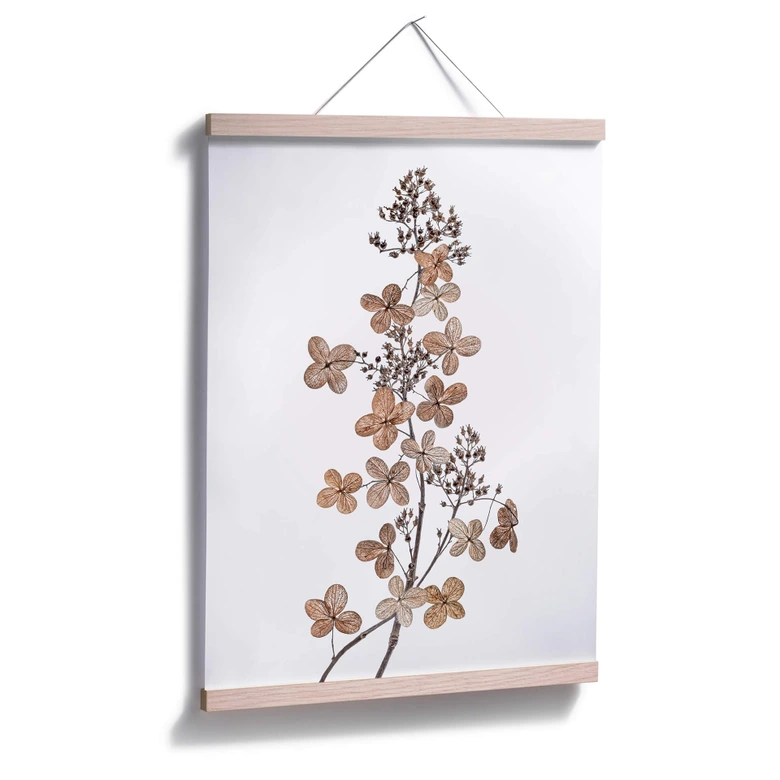 Poster Disher - Hortensie 