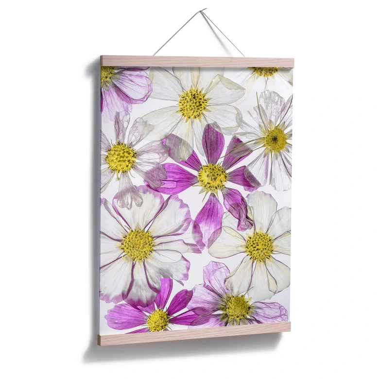Poster Disher - Keeping Summer 