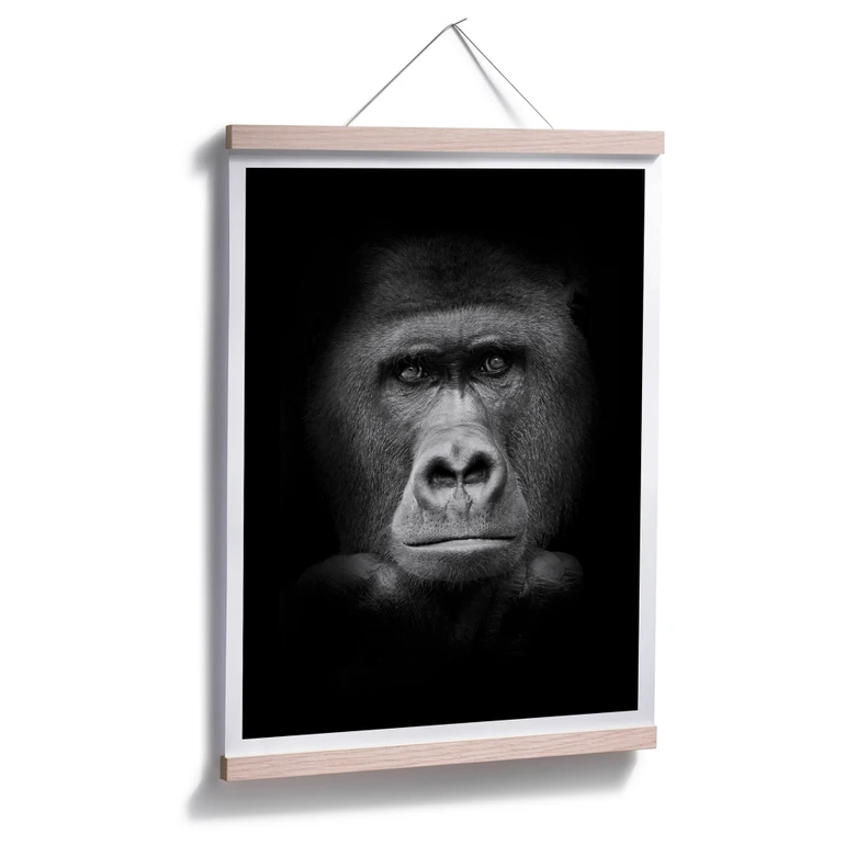 Poster Gorilla 