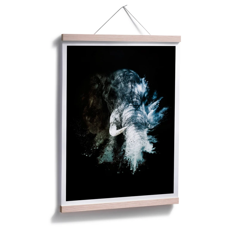 Póster Hugonnard - Explosión salvaje: Elefante 