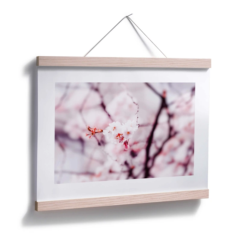 Poster Kirschblüte 02 