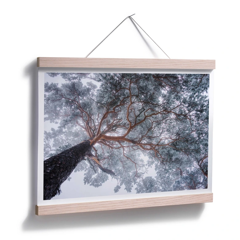 Poster Krivec - Boom in de Winter 