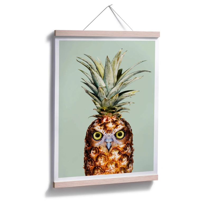 Poster Loose - Ananaseule 
