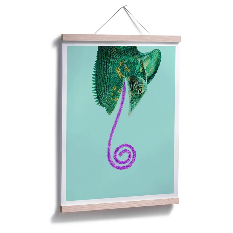 Poster Loose - Candy Chameleon 