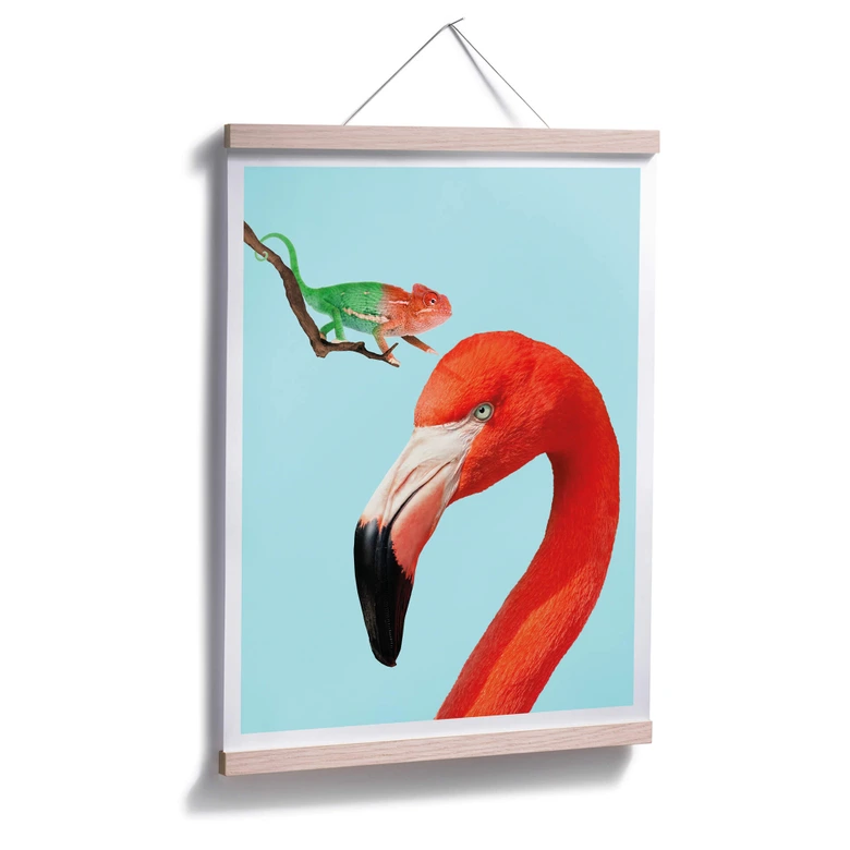 Poster Loose - Colorful Friends 