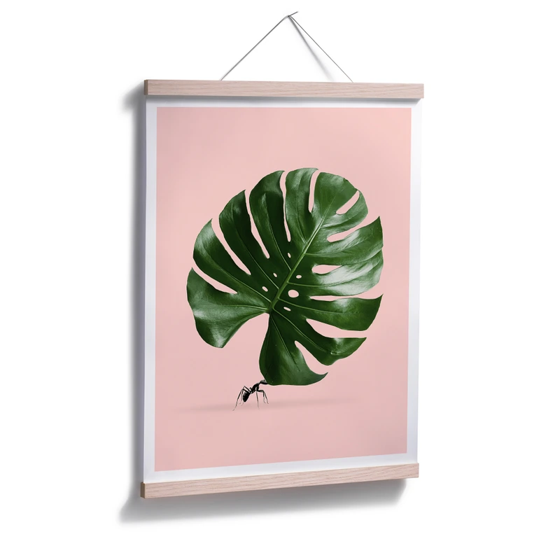 Poster Loose - Monstera Ant 
