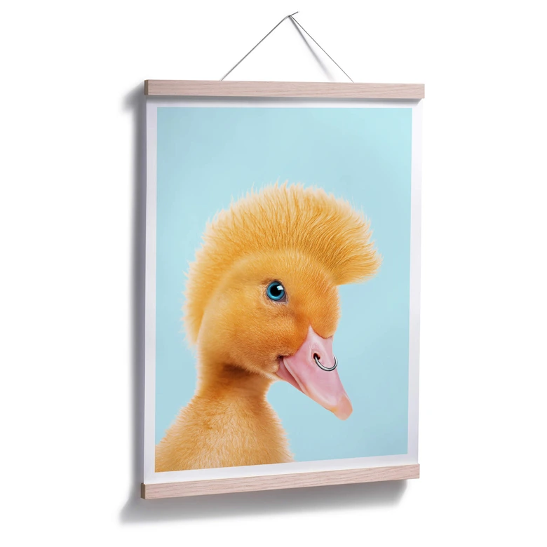 Poster Loose - Canard rebelle 