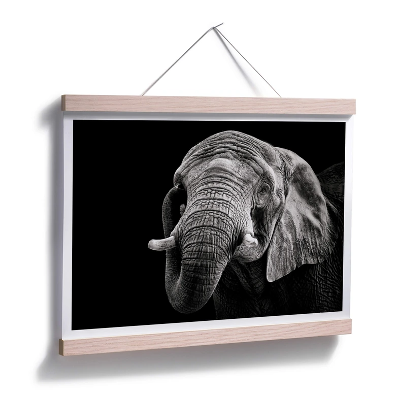 Poster Meermann - Der Elefant 