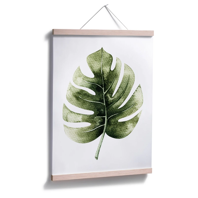Poster Kvilis - Monstera Leaf 