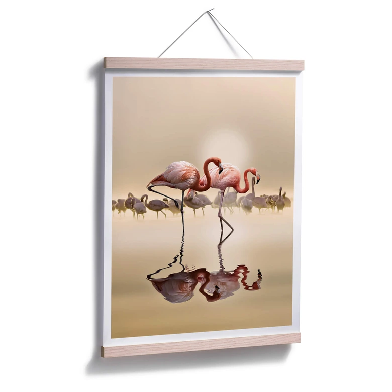 Poster Osman - Flamingo 