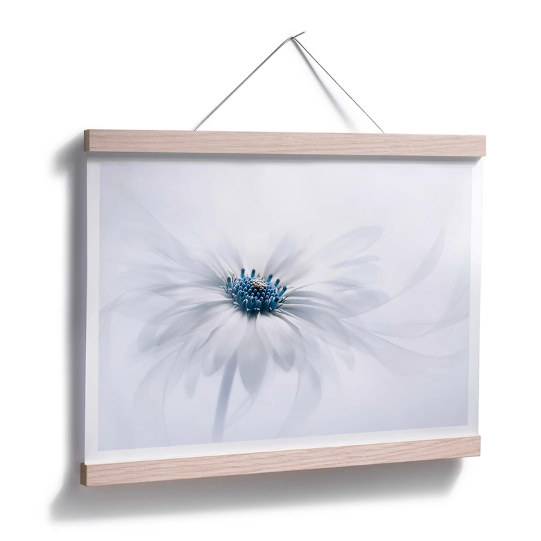 Poster Parker - Frozen Flower 