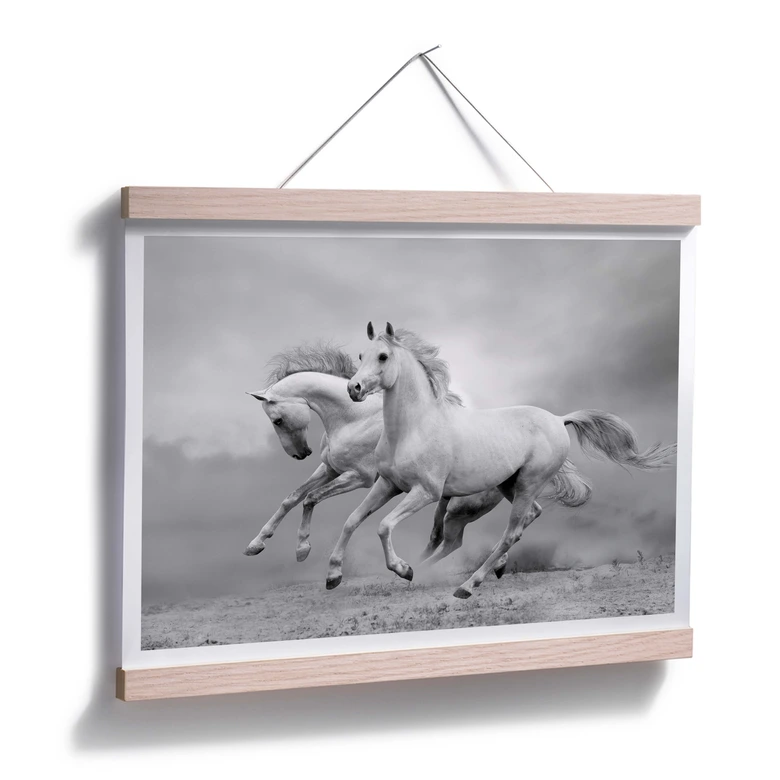 Poster Pferde im Galopp 