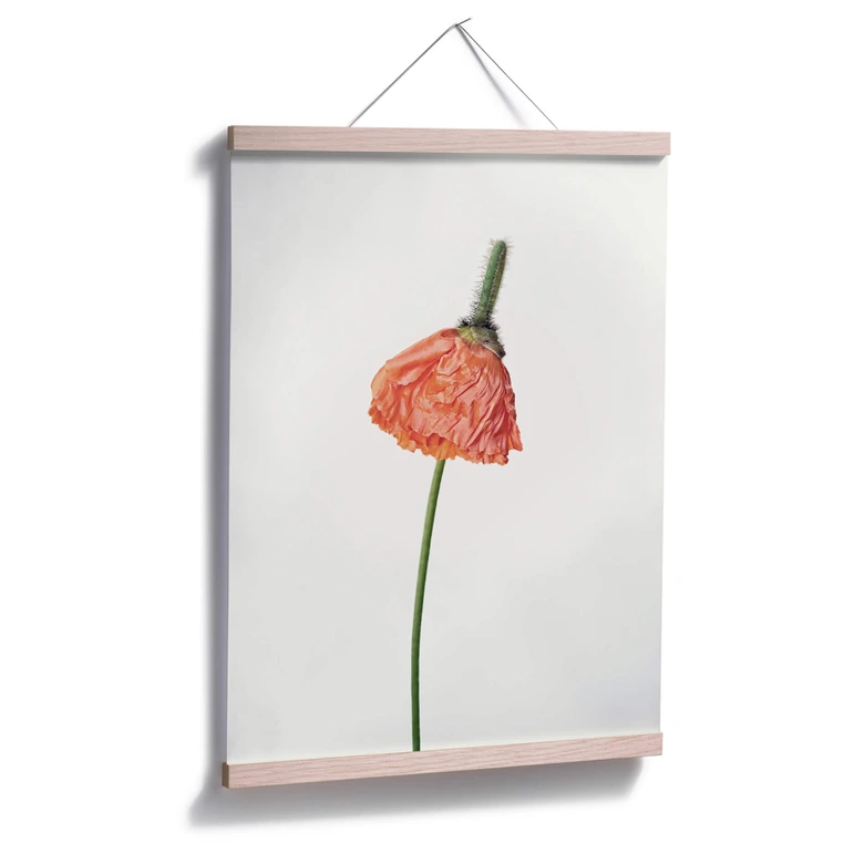 Poster Die rote Blüte 01 