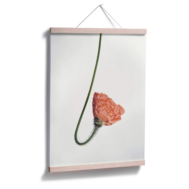 Poster Die rote Blüte 02 